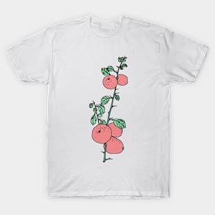 Fruit in red and green. T-Shirt